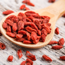 Top qualité Hypotensive Conventionnelle goji berry